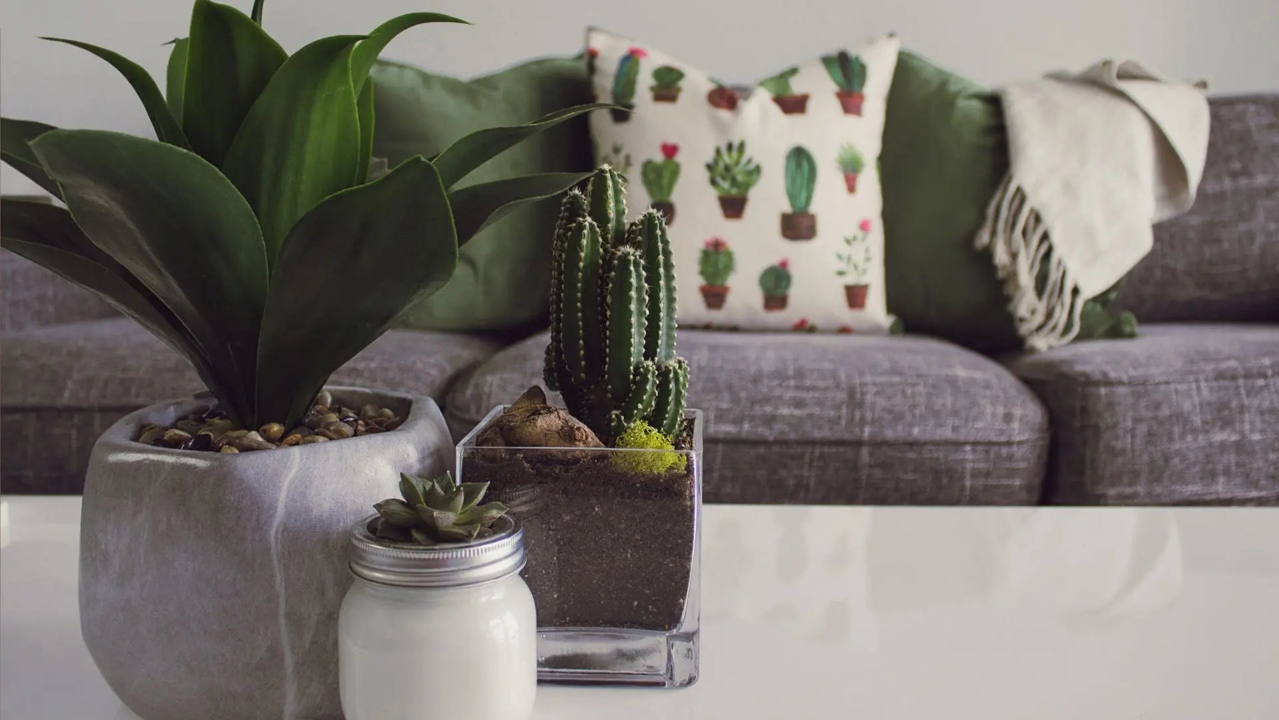 Importance of Everyday Artificial Greenery for Your Home