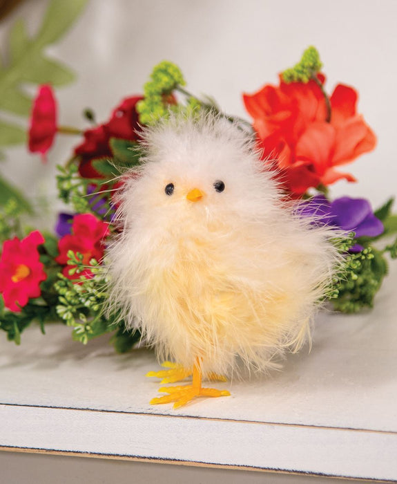 Fuzzy Standing Chick