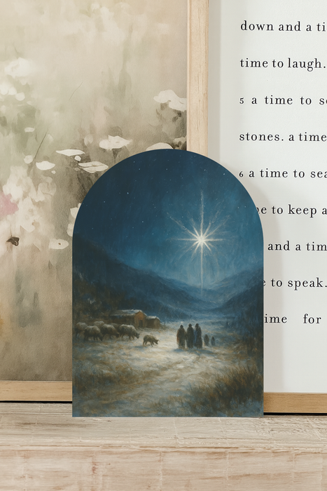 Starry Night, Arch | Christmas 2025