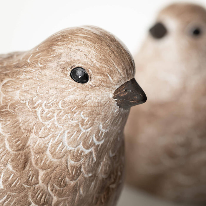 Resin Bird Set