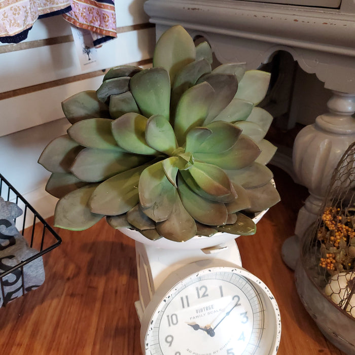 Artificial Succulents