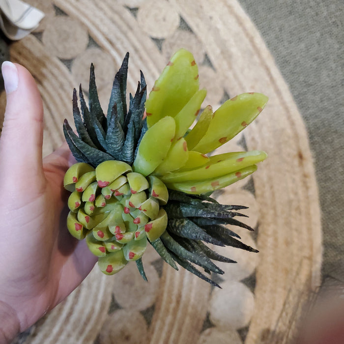 Artificial Succulents