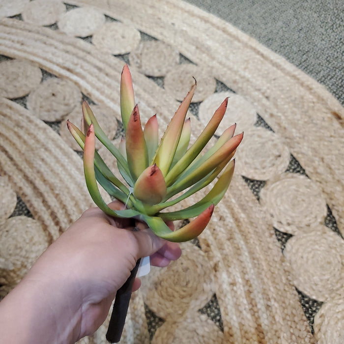 Artificial Succulents