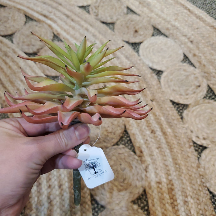 Artificial Succulents