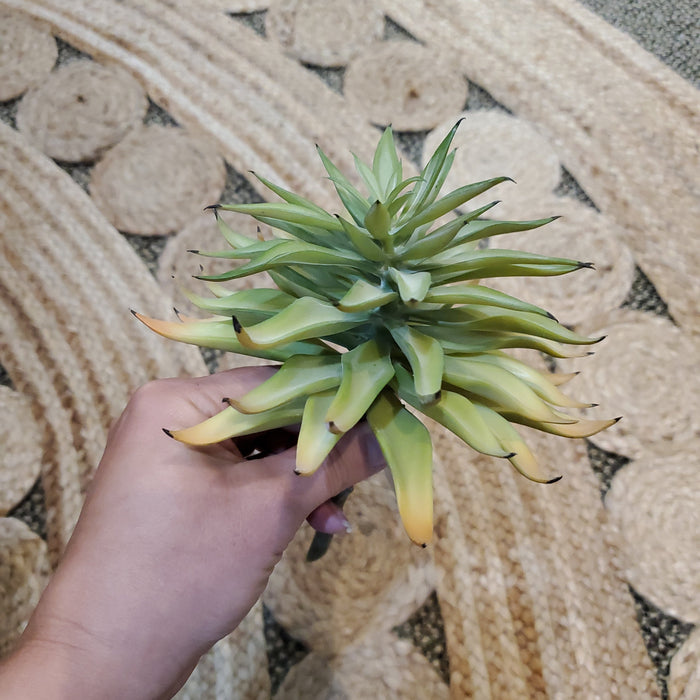 Artificial Succulents