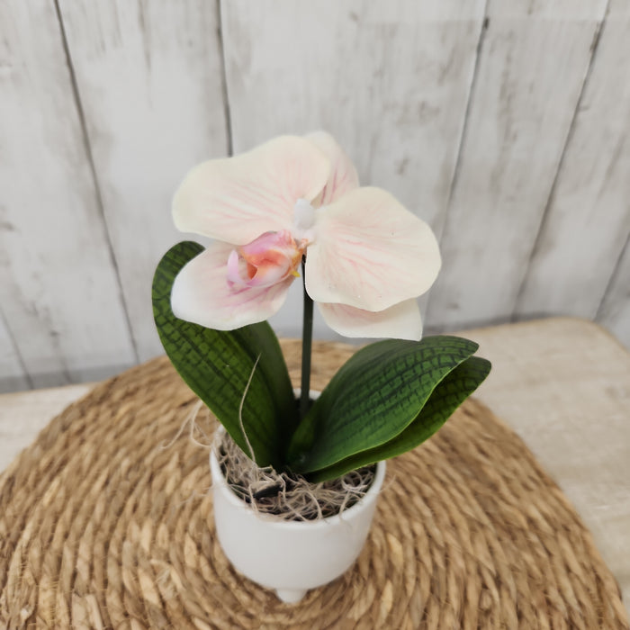 Mini Faux Orchid in Pot