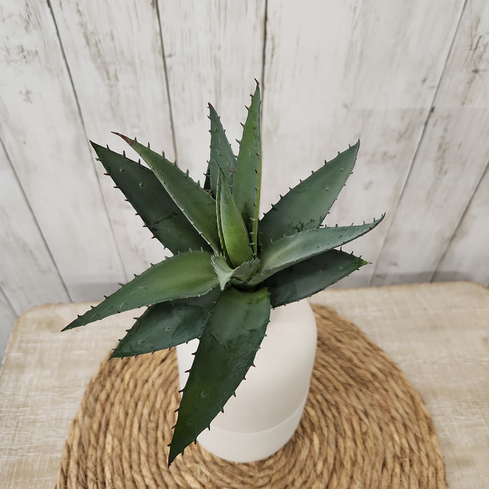 Faux Aloe Plant 15.5"