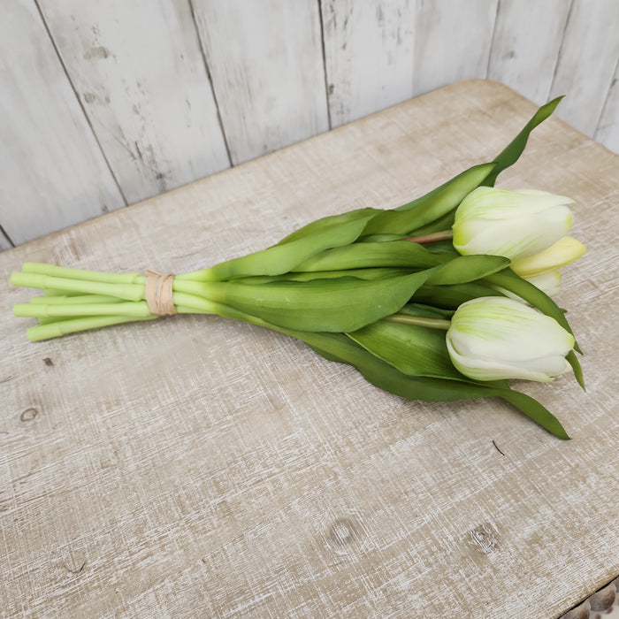 Artificial Cream Tulip  7 stems 12"