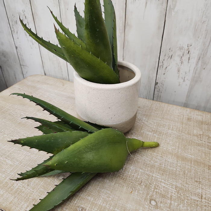 Faux Aloe Plant 15.5"