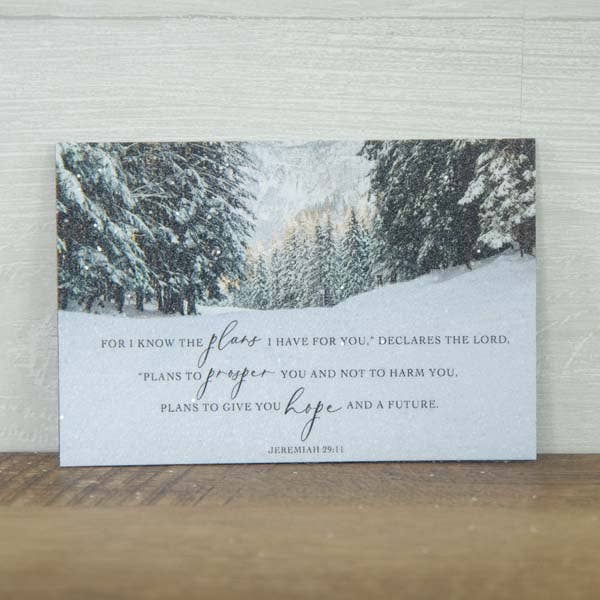 New Magnet Glittered For I Know The Plans I Have For You