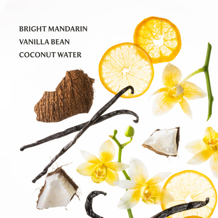 Vanilla Blossom Power Mist Hydrating Hand Sanitizer Touchland Brand
