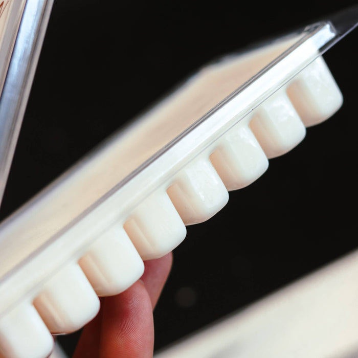 Toasted Pumpkin & Cranberry: Soy Wax Melts - 5.5 oz