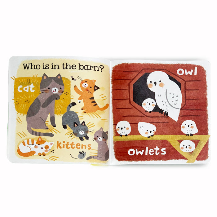 Farm Babies  (Tuffy Teether Indestructible Children's Book)
