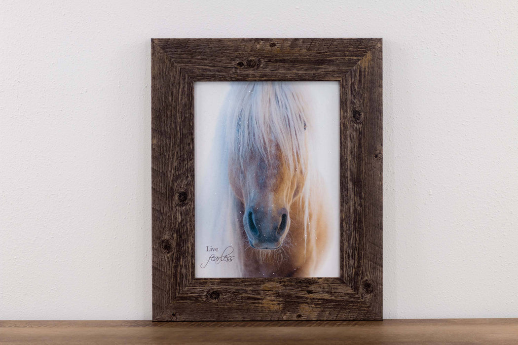 Live Fearless Haflinger Palomino Horse Western Art Sign