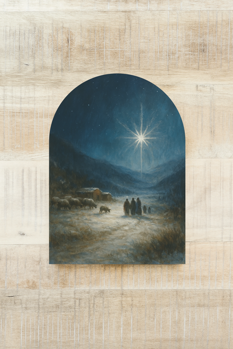 Starry Night, Arch | Christmas 2025