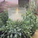 artificial ruscus wreath candle ring everyday home decor