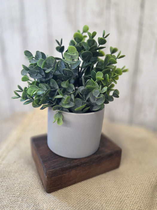 Everyday Centerpiece Square Petite Wood Bowl with 4" Round Pot and Everyday Artificial Eucalyptus