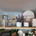 Soft neutral eucalyptus stem arranged in a decorative vase for everyday home accents
