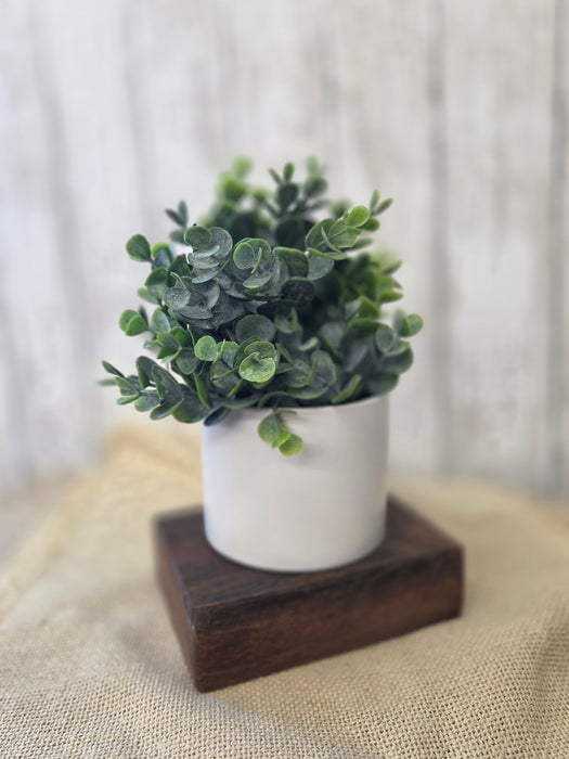 Everyday Centerpiece Square Petite Wood Bowl with 4" Round Pot and Everyday Artificial Eucalyptus