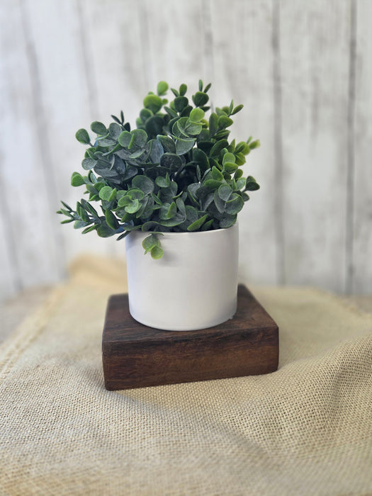 Everyday Centerpiece Square Petite Wood Bowl with 4" Round Pot and Everyday Artificial Eucalyptus