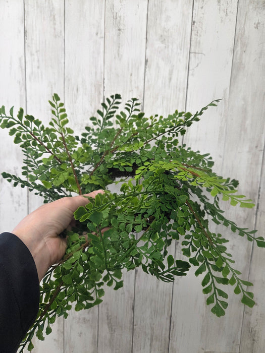 4" Candle Ring Real Touch Maiden Hair Fern