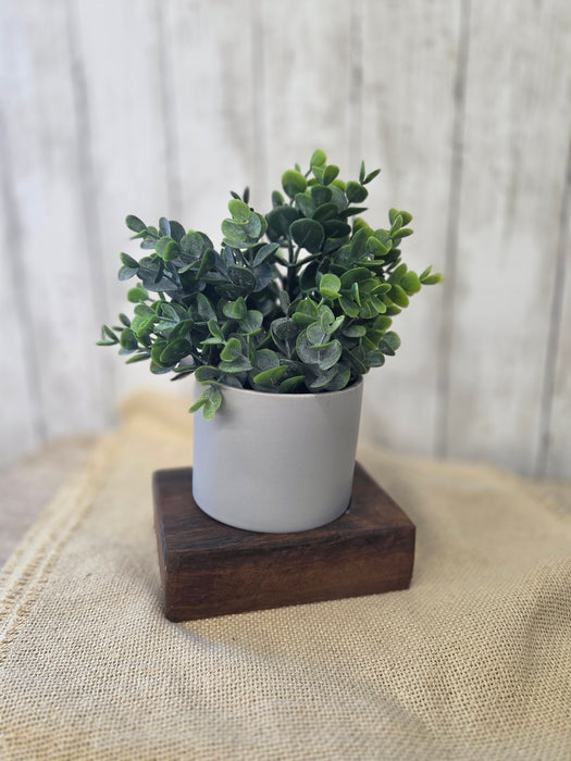 Everyday Centerpiece Square Petite Wood Bowl with 4" Round Pot and Everyday Artificial Eucalyptus