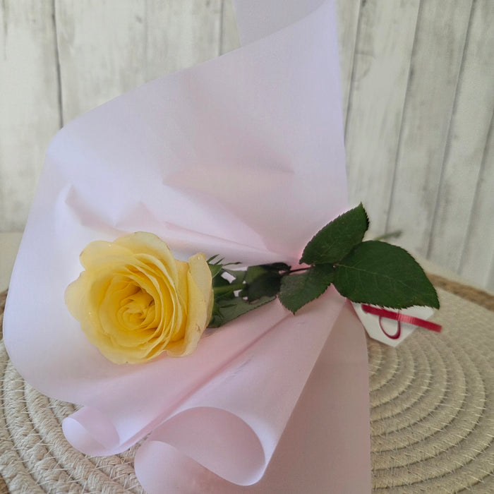Standard Fresh Roses – Various Colors | Heartland Store MN