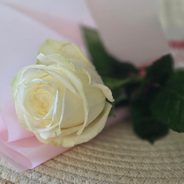 Standard Fresh Roses – Various Colors | Heartland Store MN