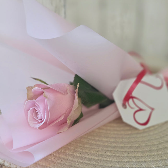 Standard Fresh Roses – Various Colors | Heartland Store MN