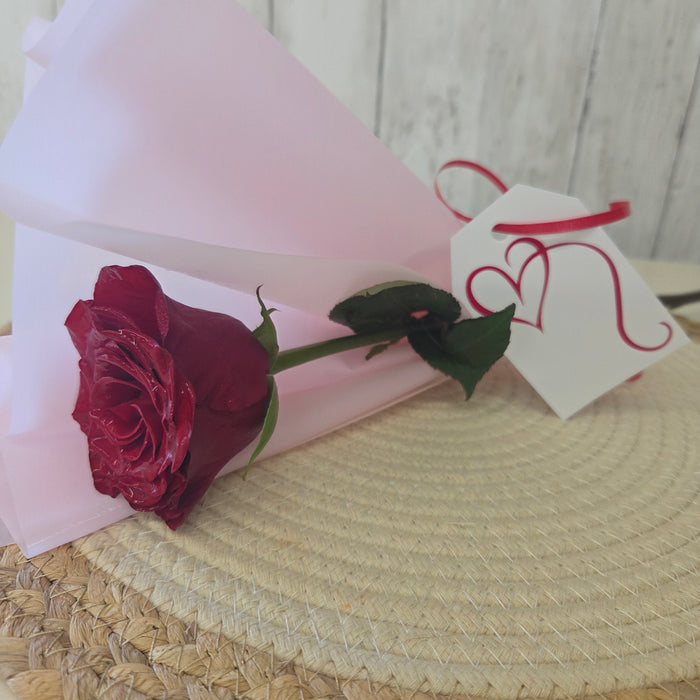 Standard Fresh Roses – Various Colors | Heartland Store MN