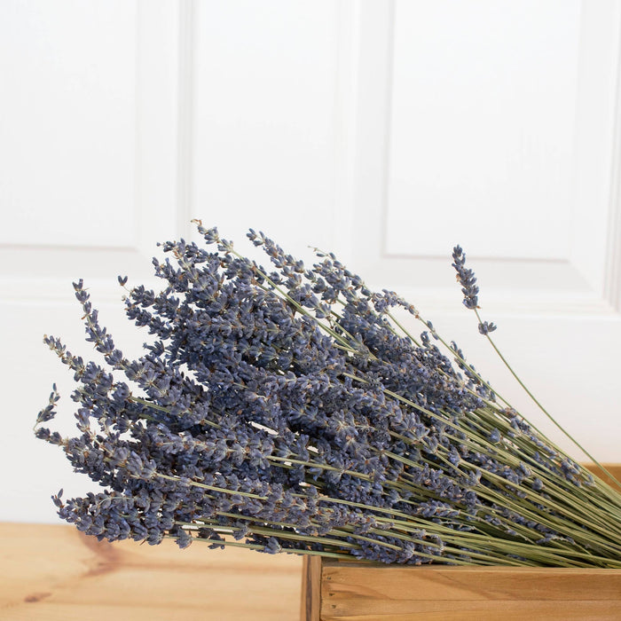 Dried Lavender Bundle Great for your Bathrooms